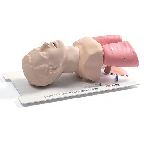 LAERDAL-25000033 Airway Management Trainer