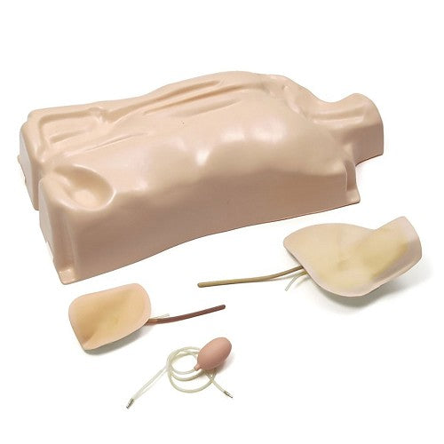 LAERDAL-90019 IV Torso Basic