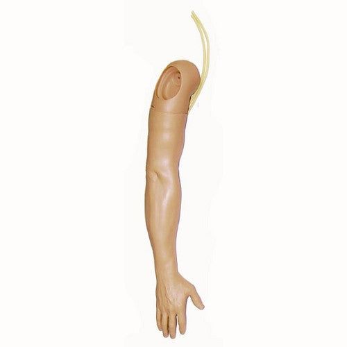 Laerdal-380700T Arm, Male Multi-Venous Tan 1/Ea
